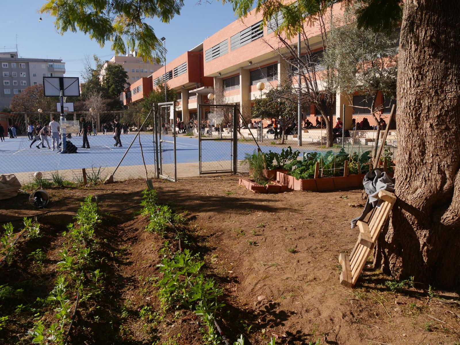 Les potagers urbains de Valence peinent à prendre racine