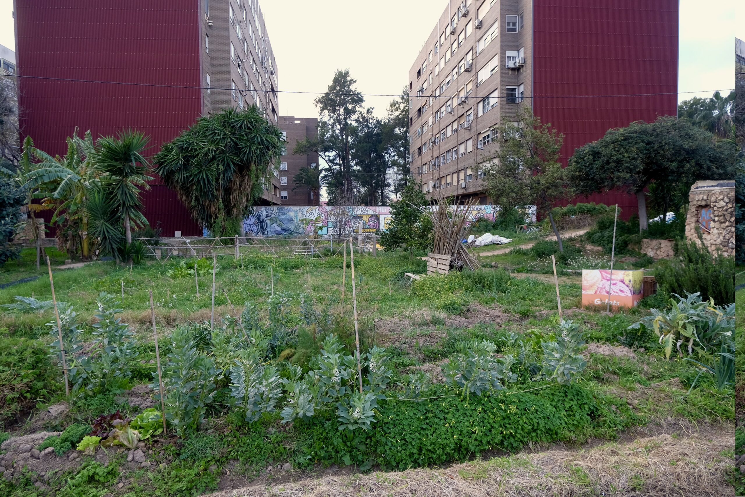 Benimaclet, l’îlot vert qui ne voulait pas se laisser grignoter