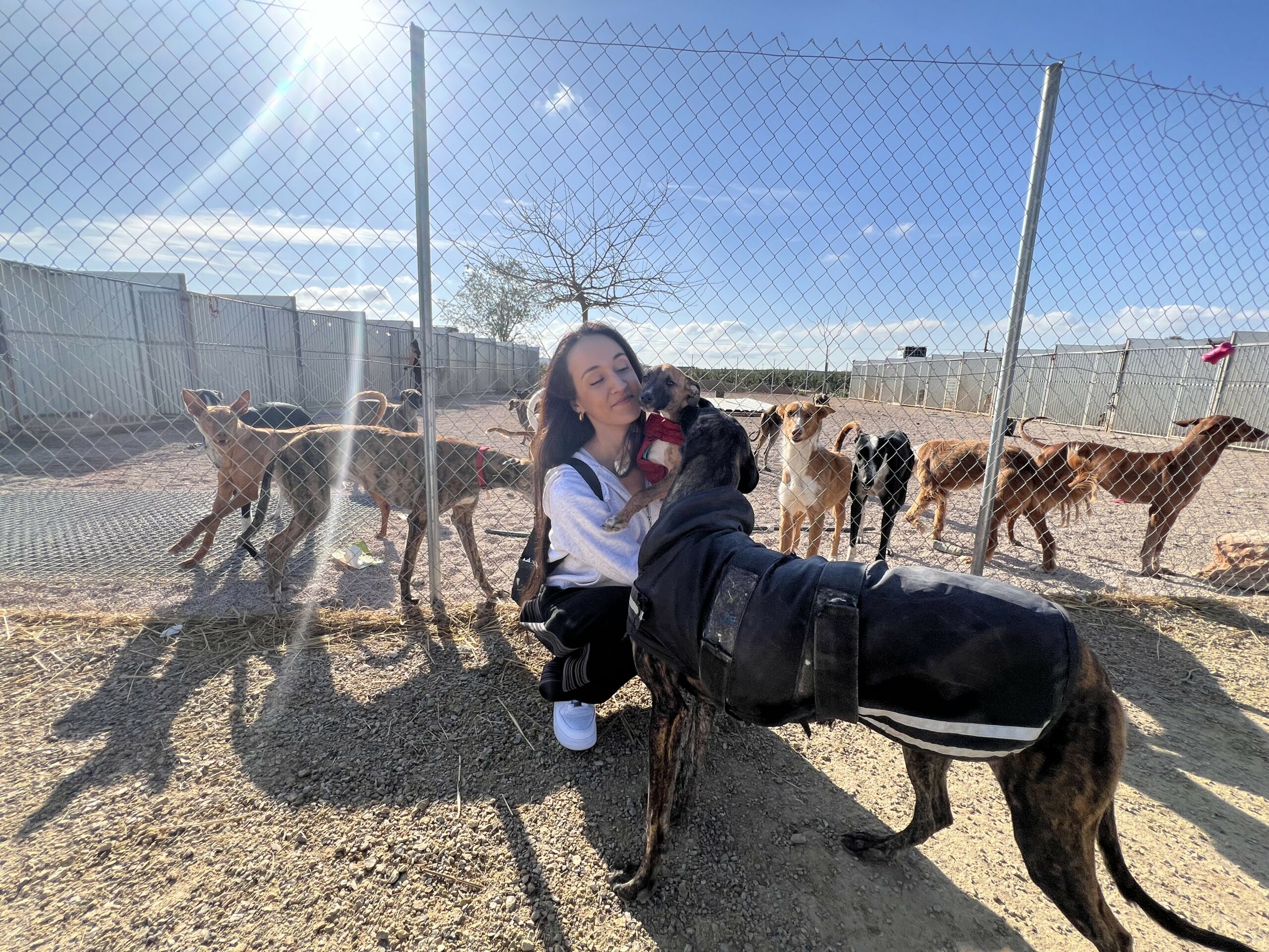 Estela veut trouver un foyer aux animaux sinistrés